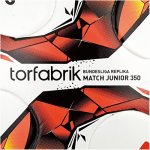 10er Adidas Torfabrik 2015/2016 Junior 350 Ballpaket