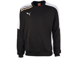 Puma Esito Sweat Top als Sportbekleidung kaufen Das Puma Esito Sweat Top aus der Teamsport Kollektion kaufen