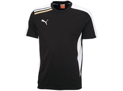 Puma Esito T-Shirt für die Freizeit Das Puma Esito T-Shirt der Teamline für Vereine und Sportler