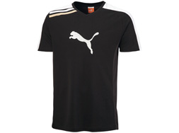 Puma Esito Trainings Tee kaufen Das Puma Esito Trainings Tee als Sportartikel der Teamsport Kollektion bestellen