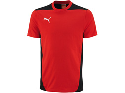 Puma Foundation Tee zum Trainingsanzug oder Frezeitanzug Das Puma Foundation Tee als Sportbekleidung zum Präsentationsanzug