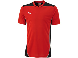 Puma Foundation Training T-Shirt und Jersey Puma Foundation Trainings T-Shirt als Sportartikel für den Vereinssport