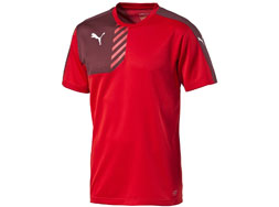 Puma Mestre Training Jersey kaufen Puma Mestre Training Jersey als Sport T-Shirt mit Polyester und Mesh