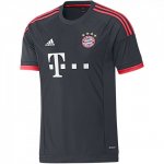 Adidas FC Bayern Trikot 2015/2016 CL - Erwachsene