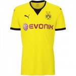 Puma BVB Trikot 2015/2016  Ambassador - Erw