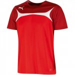 Puma Esito 3 Training Jersey