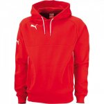 Puma Pro Hoody