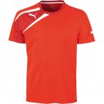 Puma Spirit Training T-Shirt