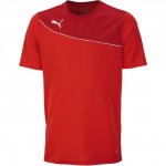 Puma Trikot Momentta Shirt