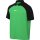 Nike Academy Pro 22 Polo green spark/lucky gr