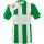 Erima Siena 3.0 Trikot smaragd/white