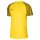 Nike Academy Trikot Jersey tour yellow/black/bl