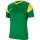 Nike Park Derby III Trikot pine green/tour yell