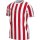 Nike Striped Division IV Trikot white/university red