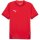 Puma teamFinal 24 Trikot Jersey Puma Red-Puma White-Fast Red