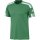 adidas Squadra 21 Trikot Jersey team green/white