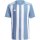 adidas Striped 21 Trikot team light blue/white