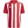 adidas Striped 21 Trikot team power red/white