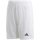 adidas Team 19 Climacool Knit Short white