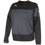 Die Puma Indomitable Teamsport Linie mit dem Sweat