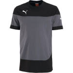 Puma Indomitable Teamline T-Shirt aus Baumwolle