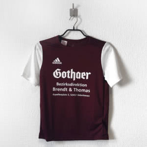 Das Gothaer Sponsoren Logo als Druck