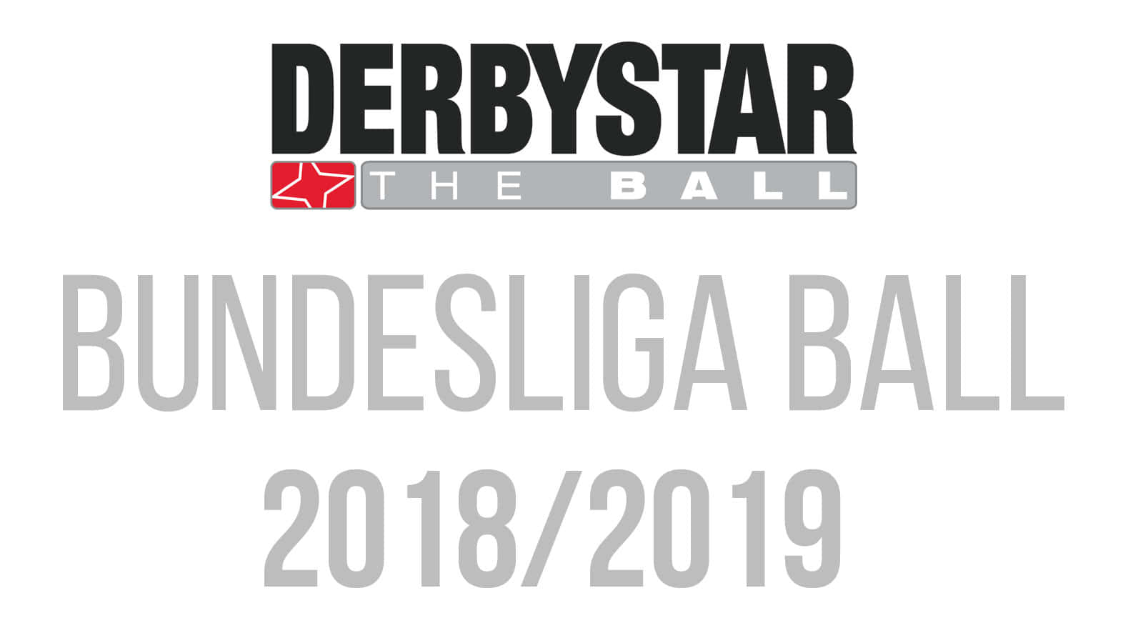 Der Derbystar Bundesliga Spielball 2018 2019 als Bundesliga Ball