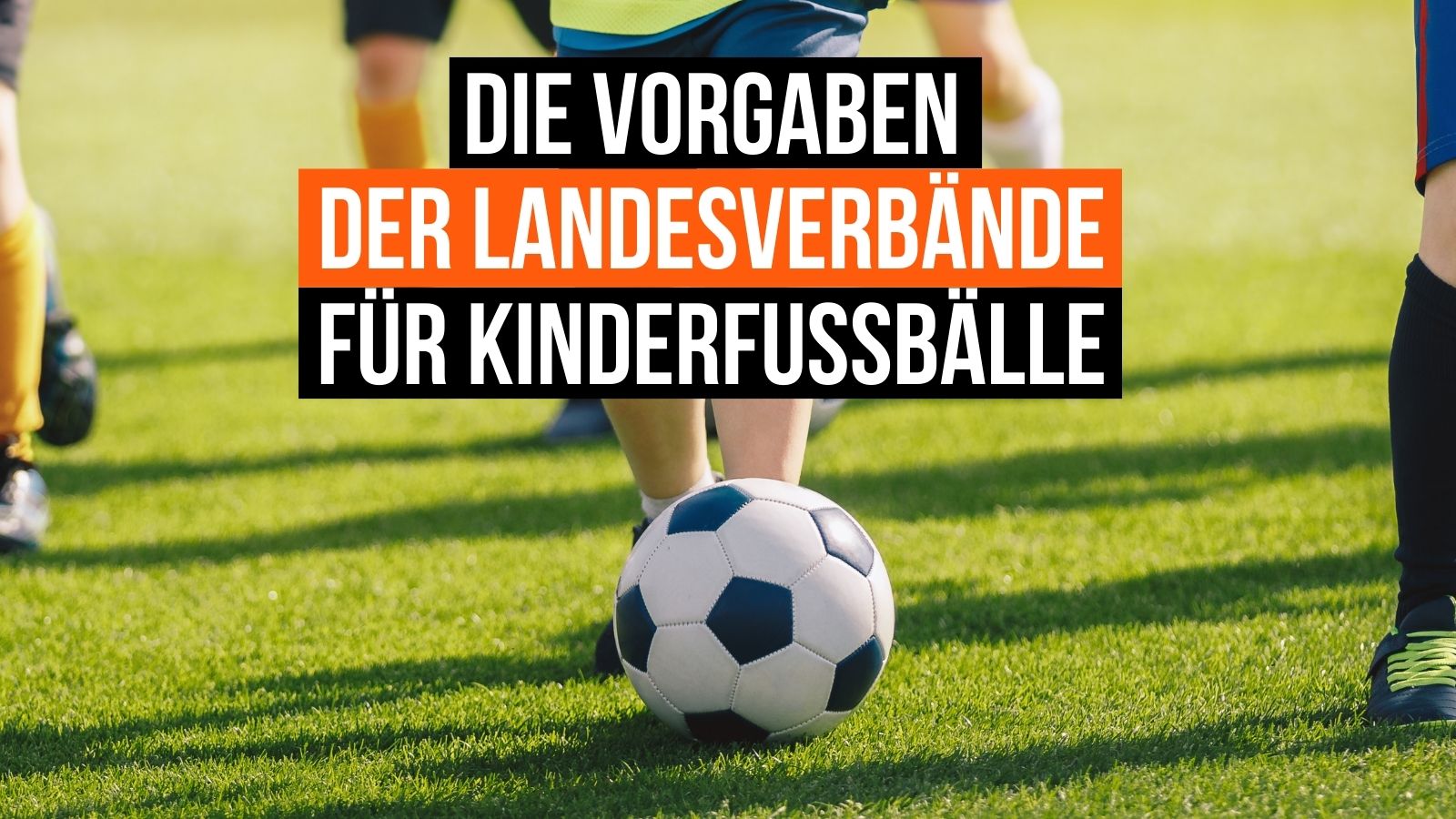 Die Landesverband Vorgaben bei Fußbällen