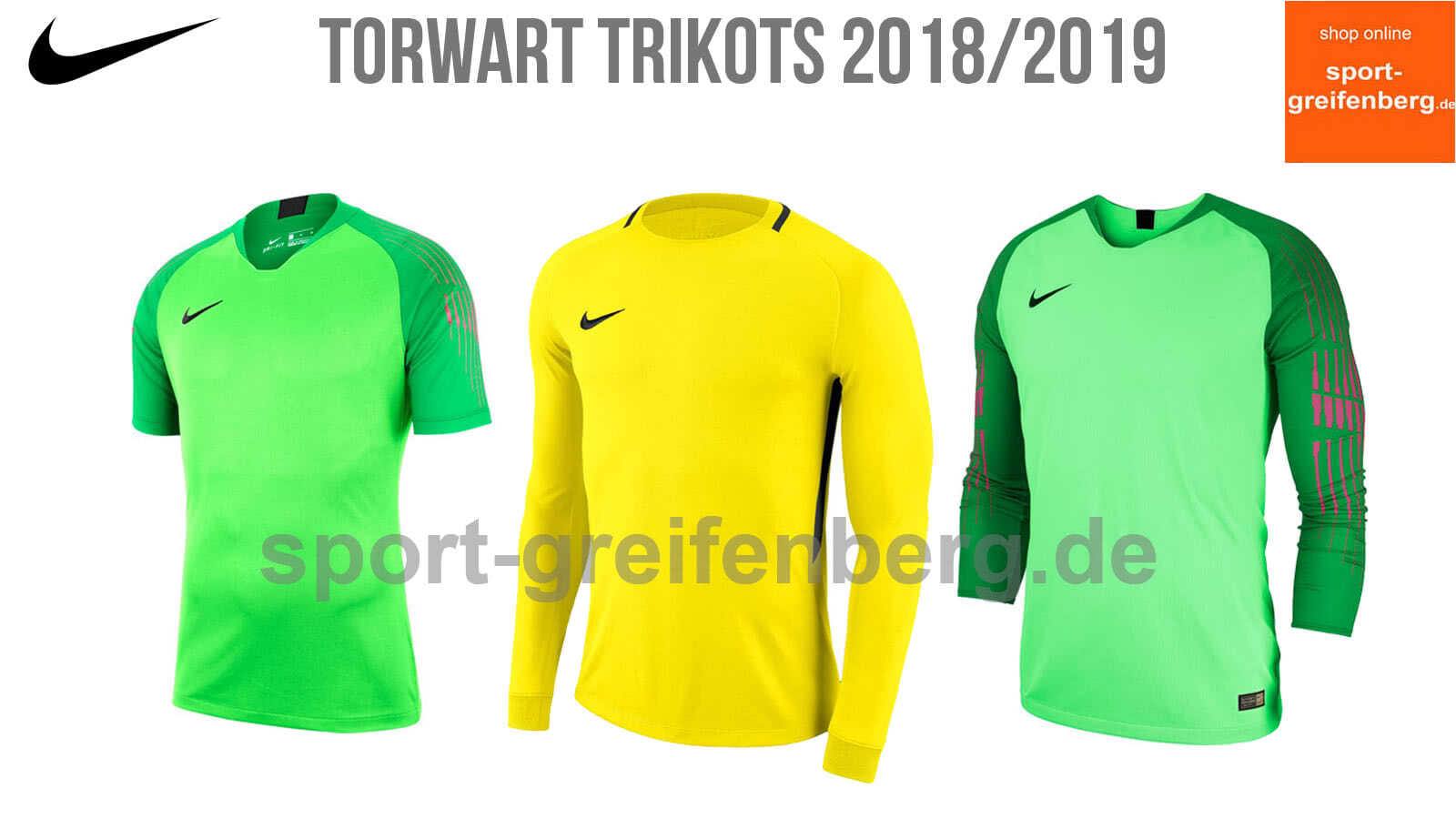 Nike Gardien 18 (WM Torwart Trikot) - Nike GK Jersey