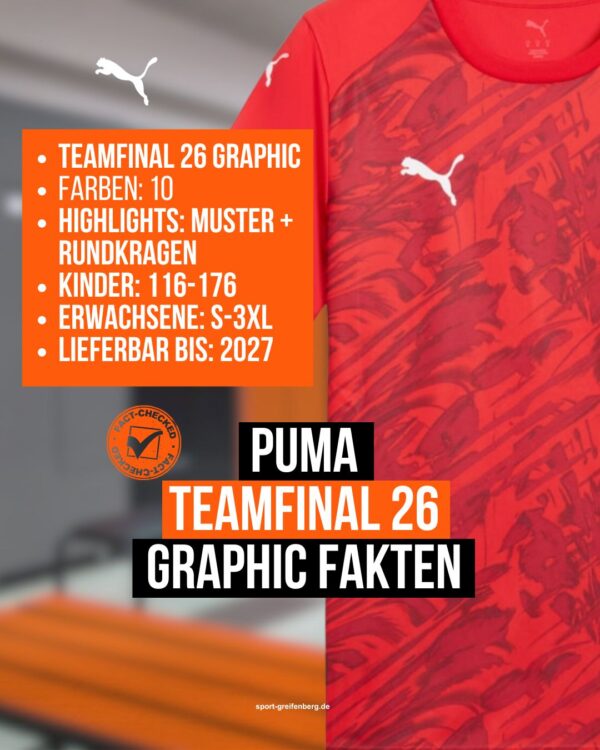 Puma teamFinal 26 Graphic Jersey Fakten für Erwachsene und Kinder