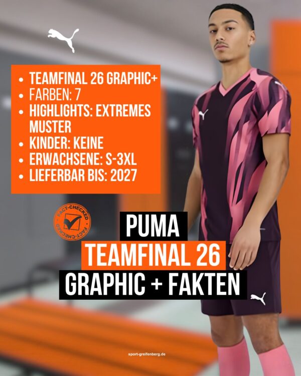 die Fakten Puma teamFinal 26 Graphic+ Jersey Fakten