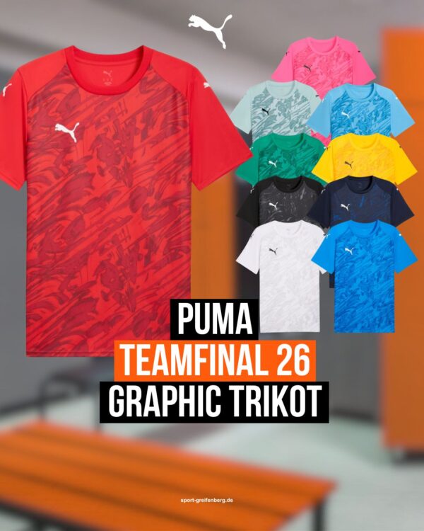 Puma teamFinal 26 Graphic Trikot Jersey 2026/2027
