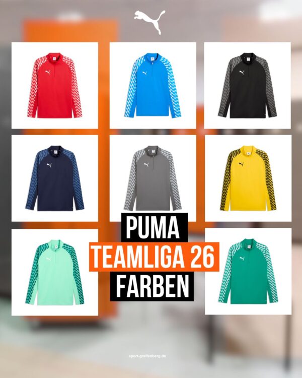 Die Puma teamLiga 26 Farben