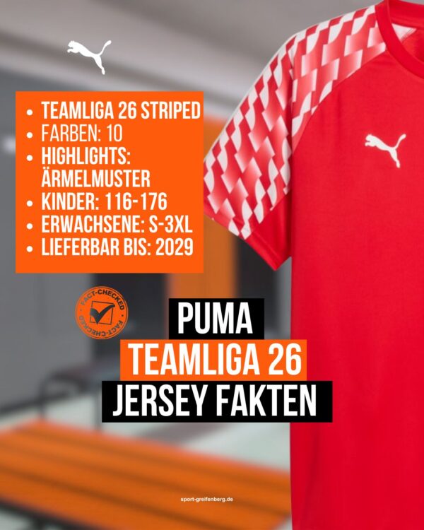 Das Puma teamLiga 26 Jersey Fakten kann auch als Training Jersey getragen werden