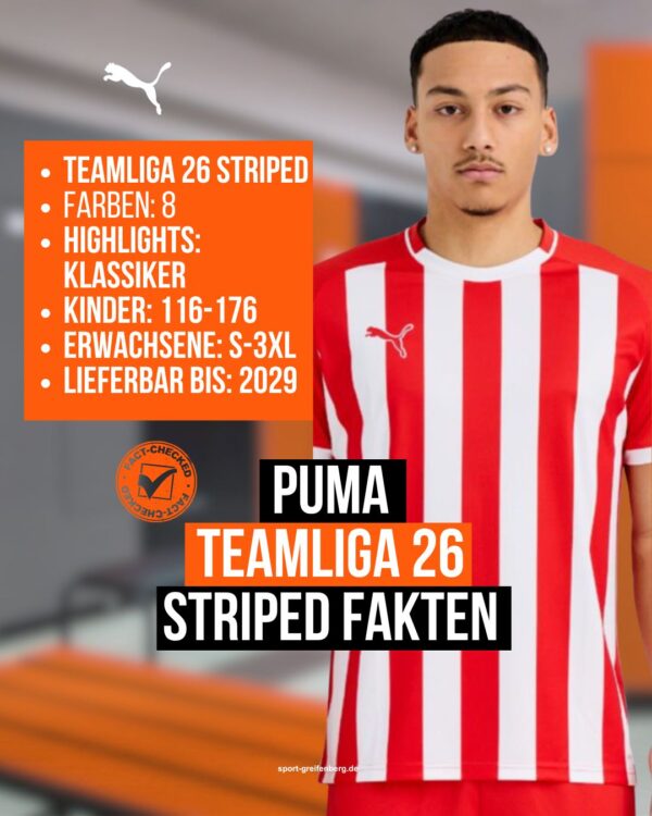 Die Puma teamLiga 26 Striped Jersey Fakten