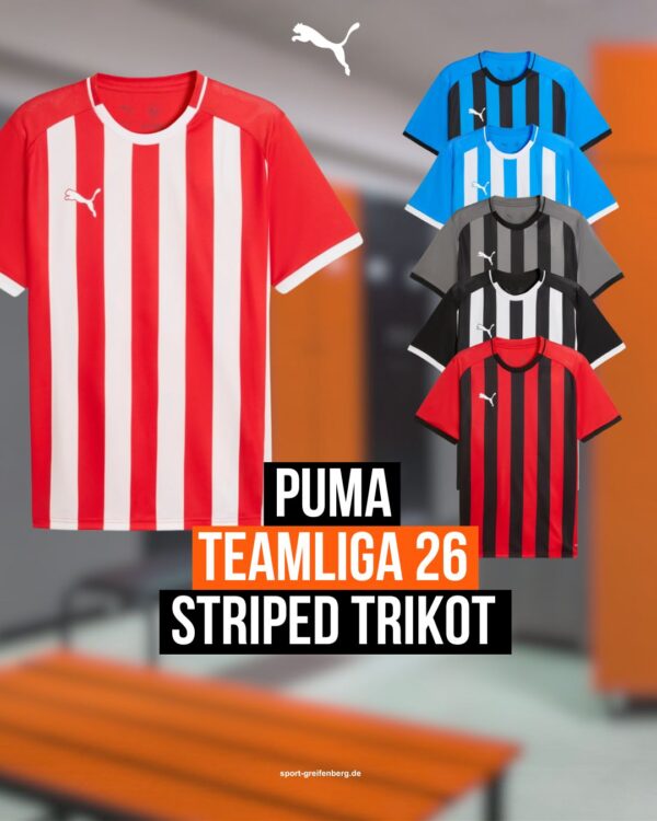Das Puma teamLiga 26 Striped Trikot als Streifen Jersey 2026/2027