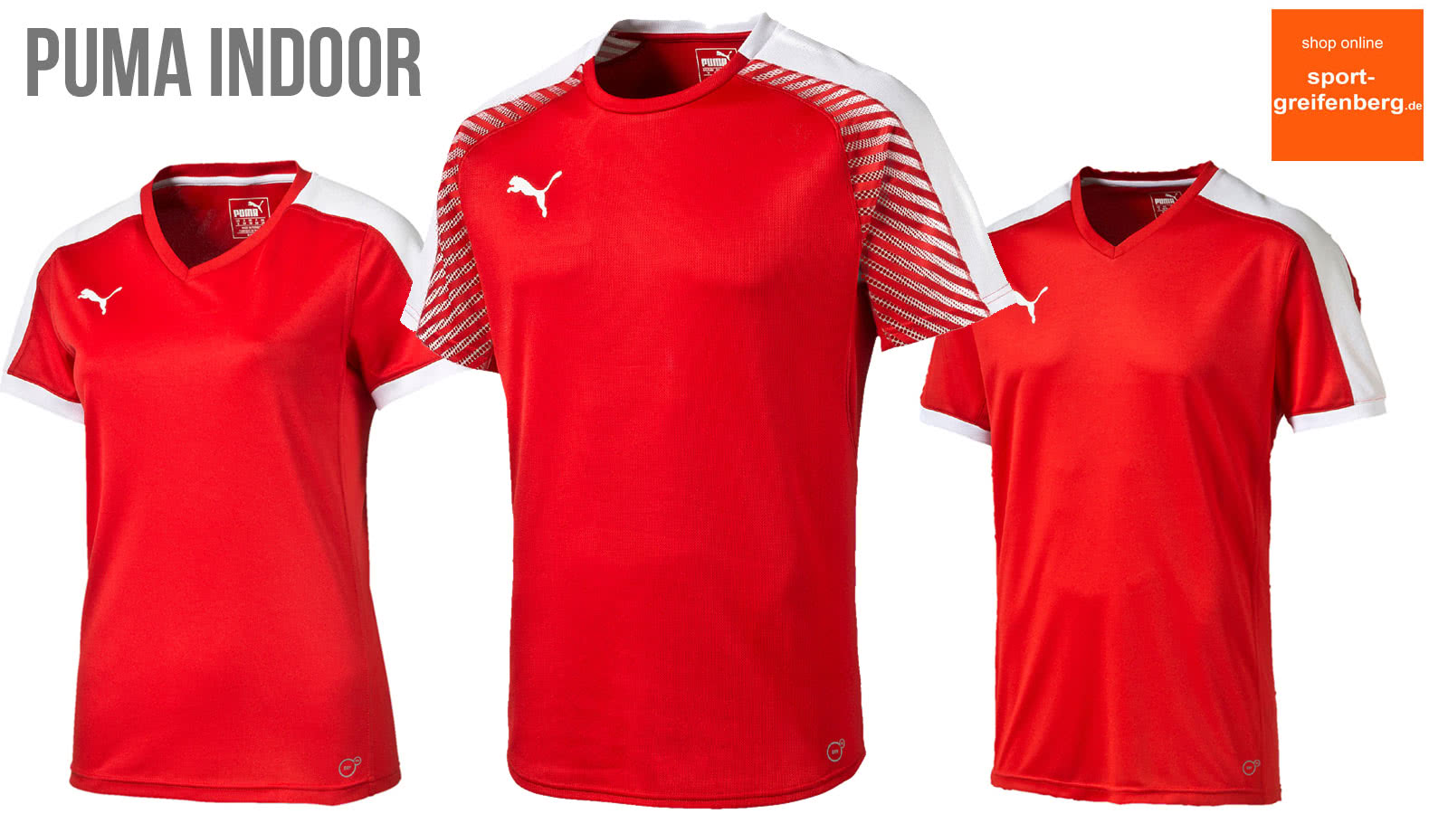 Puma Indoor / Handball 2017/2018 (Katalog)