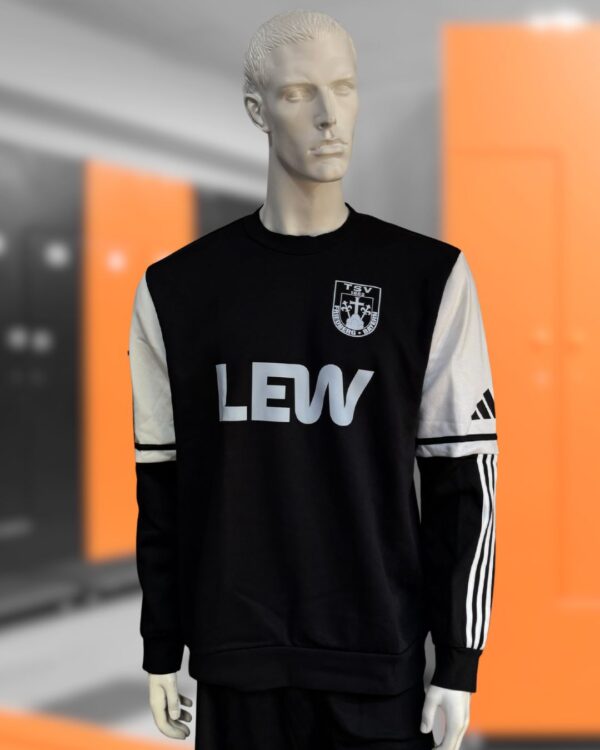 Trainer Trikot mit Sponsoren Werbung auf der Vorderseite des Sweatshirts