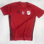 Training Jersey mit Druck des Vereinslogos