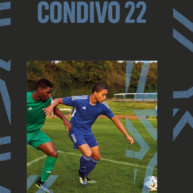 Das adidas Condivo 22 Jersey als Trikot im Katalog 2022/2023