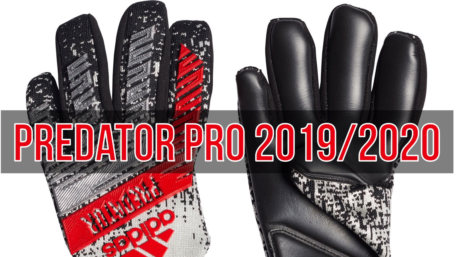 Die adidas Predator Pro 2019 2020 Torwarthandschuhe von Manuel Neuer und Marc Andre ter Stegen