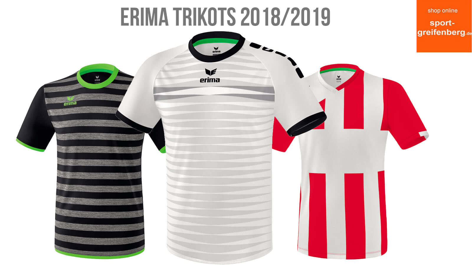 Das sind die Erima Trikots 2018/2019 für Fußball, Handball und Co