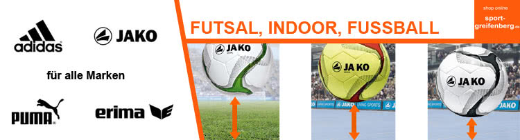 Fußbälle sowie Futsal und Hallenbälle im Vergleich