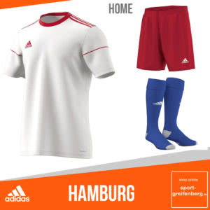 Hamburg Trikots Hosen Stutzen 2017/2018 Heim Trikot Linie