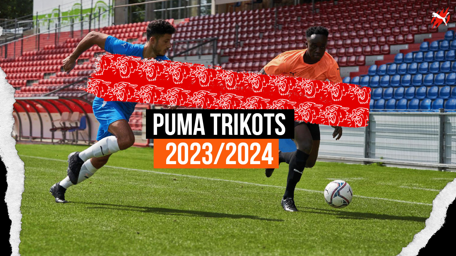 die neuen Puma Trikots für 2023/2024 im Teamsport Katalog für den Fußball
