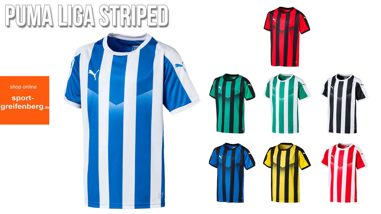 Das Puma Liga Striped Trikot und Jersey als Fußball Trikot der Saison 2018/2019