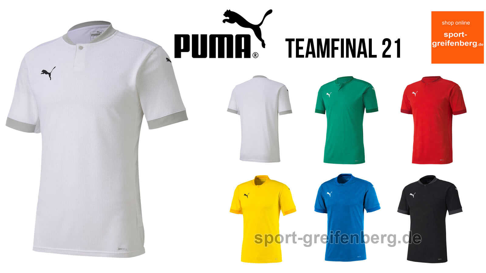 Das puma teamfinal 21 Jersey als Trikot der Profis von der EM