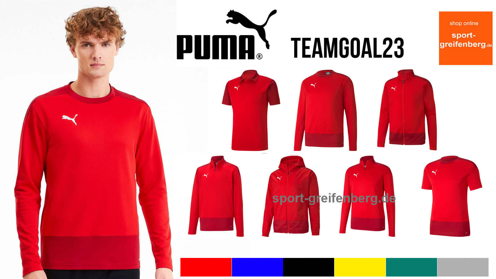 Die Puma teamGoal 23 Line gibt es im Katalog von 2020 bis 2023