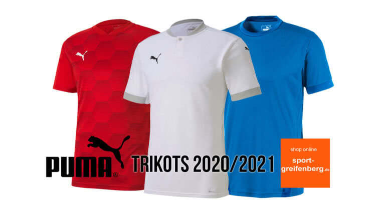 Die puma trikots 2020 2021 teamgoal und teamfinal