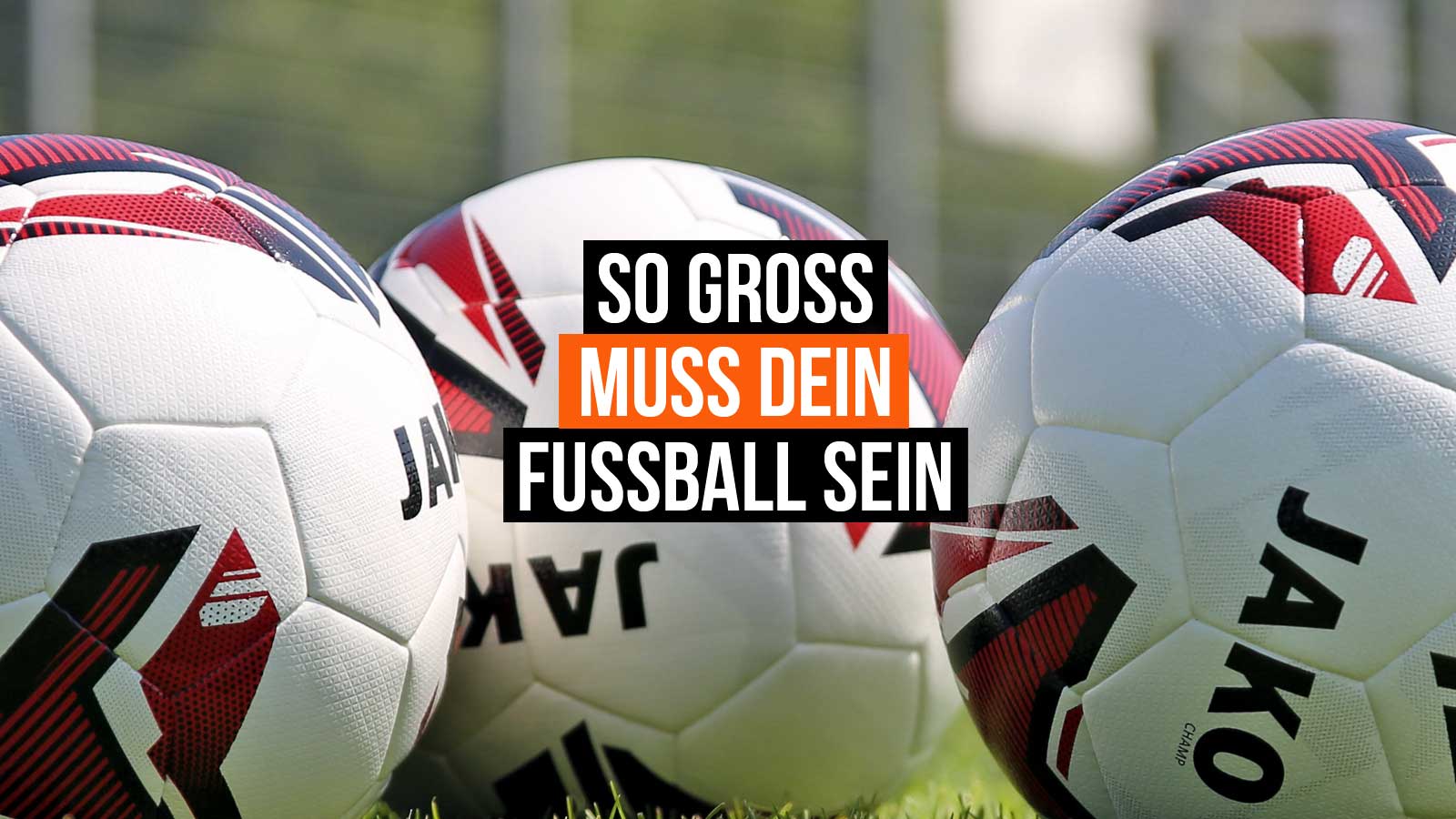 diese Größe braucht dein Fußball